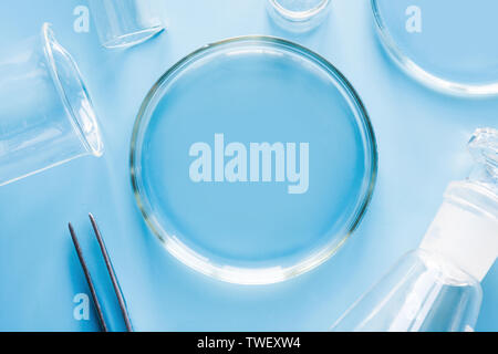 Petri dish with liquids and pincers in laboratory on blue table. Fluid testing. Top view. Stock Photo