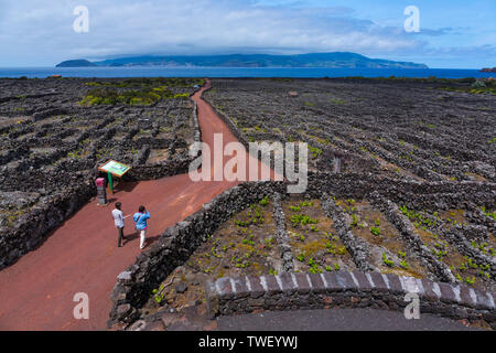 Landscape of the Pico Island Vineyard Culture has been classified by UNESCO as a World Heritage Site since 2004, Pico Island, Azores Archipelago, Port Stock Photo