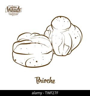 Brioche bread vector drawing. Food sketch of Yeast bread, Sweet, usually known in France. Bakery illustration series. Stock Vector