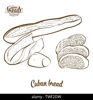 Cuban bread bread vector drawing. Food sketch of Yeast bread, usually known in United States. Bakery illustration series. Stock Vector