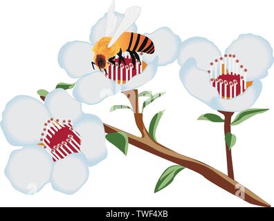 A bee on a blooming tree flower vector illustration on a white background isolated Stock Vector