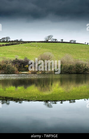Reflection in the still water in Porth Reservoir in Cornwall. Stock Photo