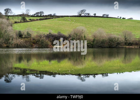 Reflection in the still water in Porth reservoir in Cornwall. Stock Photo