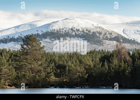 Sgor Gaoithe mountain at Glen Feshie in the Cairngorms National Park of Scotland. Stock Photo