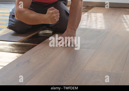 hands of handyman beat the laminate plank to laying the laminate floor Stock Photo