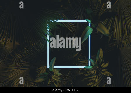 3d rendering of white square neon light with tropical leaves.. Flat lay of minimal nature style concept Stock Photo