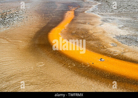 Bison hoof prints in the minerals of hot springs, Old Faithful, Yellowstone, Wyoming Stock Photo