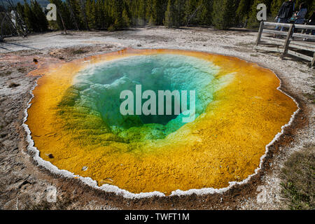 Morning Glory Pool or Morning Glory Spring, Yellowstone National Park, Teton County, Wyoming, USA Stock Photo