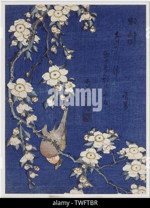 hokusai-bullfinch-weeping-