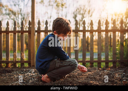 Boy planting seeds in a garden, United States Stock Photo