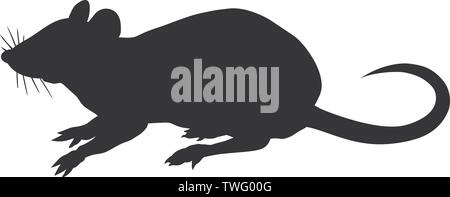 Silhouette of the rat isolated on white background. Stock Vector