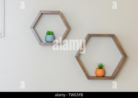 Hexagon floating shelves with colorful succulents Stock Photo
