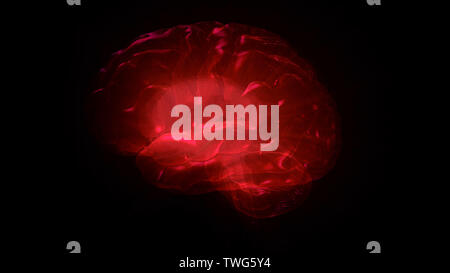 3D rendering of computer model of human brain and artificial intelligence concept Stock Photo