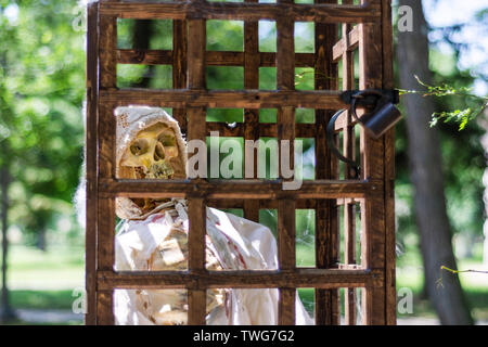 Scary old human skeleton in a wooden cage hanging on a tree and green spring forest in the background. A medieval prisoner suffered from torture Stock Photo