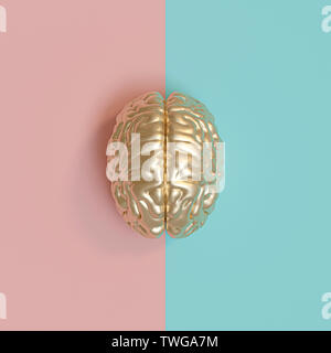 3d rednering image of a gold human brain, blue and pink background, concept of diversity between the sexes. flat lay style. Stock Photo