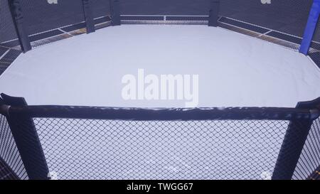 A 3d render of MMA arena fight cage Stock Photo