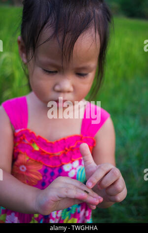 little girl playing in rice field. and have some insect landing on her hand. High resolution image gallery. Stock Photo