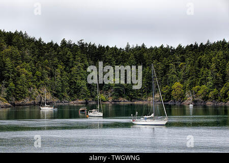 Some sailboats are moored in Friday Harbor on San Juan Island in Washington. Stock Photo