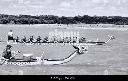 Arlington,Texas - June 15,2019 - Dragon boat race at Lake Viridian. Showing two of the Dragon boats racing at full speed in black and white. Stock Photo