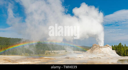 Panorama of the Castle Geyser with eruption and rainbow in the Upper Geyser Basin of Yellowstone national park, Wyoming, United States of America, USA. Stock Photo