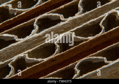 Recycle box carton closeup picture Stock Photo