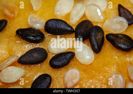 Sesame seeds on the top of yummy bread Stock Photo