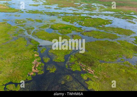 Serenje, Provincia central, Zambia, Africa Stock Photo Alamy