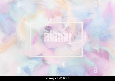 abstract nackground with soft colorfull feathers and white frame. Flat lay Stock Photo