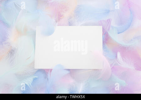 abstract nackground with soft colorfull feathers and white frame. Flat lay Stock Photo