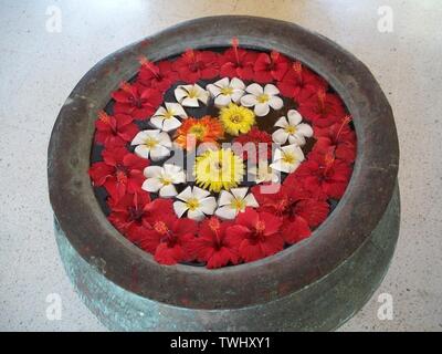 Beautiful, colourful flower arrangement, flowers floating in water in stone pot in the grounds of a hotel in Sri Lanka Stock Photo