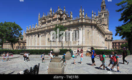 Spain; Andalusia; Seville; Cathedral, Plaza del Triunfo, people, Stock Photo
