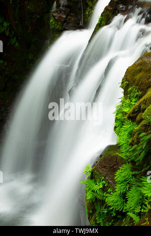 Majestic Falls; McDowell Creek Falls County Park, Linn County, Oregon ...