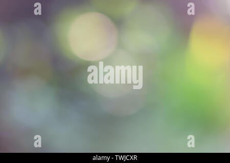 Abstract Blurred green light bokeh background