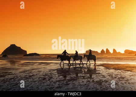 3 adults riding horses at sunset on Bandon beach in Oregon. Stock Photo