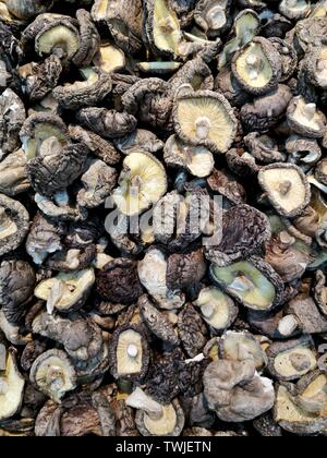 dried mushroom Stock Photo