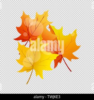 Falling maple leaves with transparency grid on back. Vector Illustration. Stock Vector
