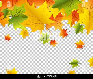 Falling maple leaves with transparency grid on back. Vector Illustration. Stock Vector