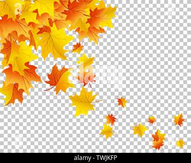 Falling maple leaves with transparency grid on back. Vector Illustration. Stock Vector