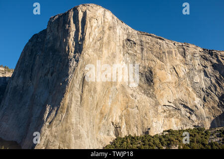 A landscape view of the amazing El Capitan from the canyon floor at Yosemite National Park, USA against a beautiful bright blue sky nobody Stock Photo