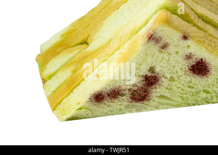 Mold Cup Yogurt Growth East Disgusting Mould Mildew Green Detail. Food  Product Dairy Product Cream Expired Warranty Stock Image - Image of green,  eating: 201270533