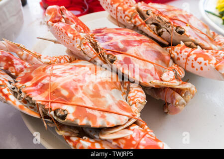 Steamed Blue crabs strap in plate Stock Photo