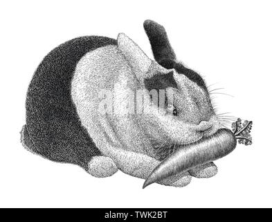 Rabbit vintage scratchboard illustration isolated on white background Stock Vector