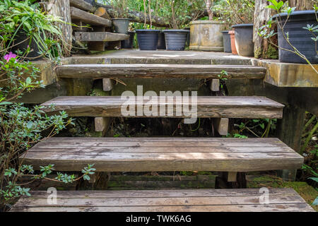 Old decay wood stairs up in shady garden Stock Photo