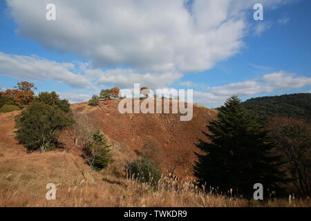 the valley of forest with falling color in nara, with the nara cityscape in far away Stock Photo