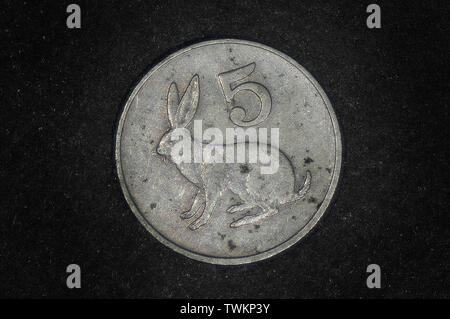 Zimbabwe 5 cents, 1980-1999 Stock Photo