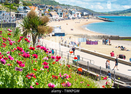 Lyme Regis, Dorset, UK. 21st June 2019. UK Weather: After a cloudy start to the summer solstice, glorious warm sunshine returns to the picturesque seaside resort of Lyme Regis. Visitors enjoy the welcome return of the sun and blue skies on the sandy beach and look forward to the warm and sunny conditions forecast over the weekend.  Credit: Celia McMahon/Alamy Live News. Stock Photo