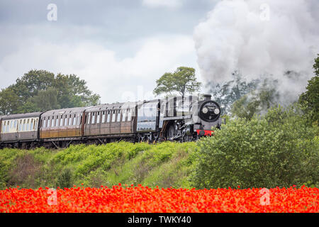 Vintage UK steam train, front, passing through beautiful English summer countryside. British landscape scene with field of wild, red poppies. Stock Photo