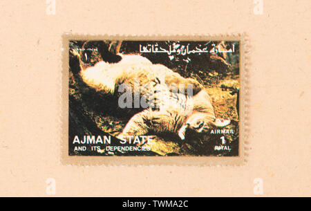 UNITED ARAB EMIRATES - CIRCA 1980: A stamp printed in the UAE shows a cat, circa 1980 Stock Photo