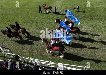 Heavy Horses puling traditional farming equipment parade in the main ring at the the Royal Highland Show being held at Ingliston in Edinburgh. Stock Photo