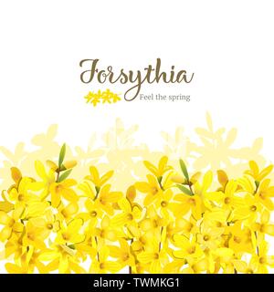 Forsythia frame bottom border. Card template. Feel the spring. blossoming yellow spring tree Stock Vector